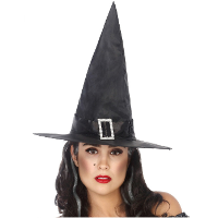 Halloween heksenhoed   basic model   one size   zwart   meisjes/dames