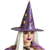 Halloween heksenhoed   met sterren   one size   paars/goud   meisjes/dames
