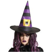 Halloween heksenhoed   Stripes   one size   zwart/paars   meisjes/dames