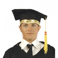 Afstudeer/geslaagd hoedje   zwart/goud   diploma gehaald   doctoraal hoed voor studenten