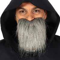 Carnaval/verkleed accessoires baard   half lang   grijs   aan elastiek