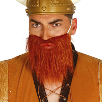 Carnaval/verkleed accessoires baard   half lang   roodbruin   aan elastiek