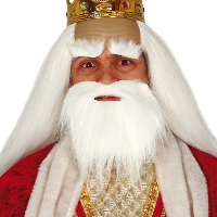 Carnaval/verkleed accessoires baard   half lang   wit   aan elastiek