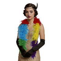 Carnaval verkleed boa met veren   multi kleuren   80 gram   themafeest