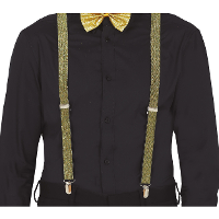Carnaval verkleed bretels   goud glitter   volwassenen/heren/dames
