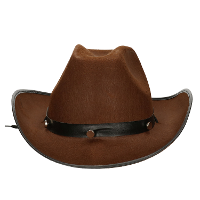 Carnaval verkleed Cowboy hoed Arizona   bruin   voor volwassenen   Western thema