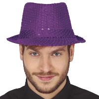 Carnaval verkleed hoedje   glitter paars   volwassenen/heren   met paillette