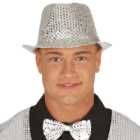 Carnaval verkleed hoedje   glitter zilver   volwassenen/heren   met paillette