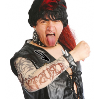 Carnaval verkleed Tattoo sleeve met tribals   voor volwassenen   tatoeage armen   rocker   punker
