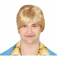 Carnaval verkleedpruik   Coole surf boy/Kakker Ken   kort haar   blond   heren