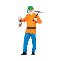 Dwerg/kabouter carnaval verkleed kostuum   volwassenen   4 delig