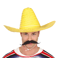 Fiesta Guirca Mexicaanse Sombrero   hoed voor heren   carnaval/verkleed accessoires   geel
