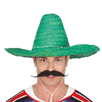 Fiesta Guirca Mexicaanse Sombrero   hoed voor heren   carnaval/verkleed accessoires   groen