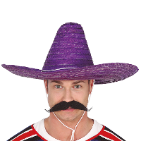 Fiesta Guirca Mexicaanse Sombrero   hoed voor heren   carnaval/verkleed accessoires   paars
