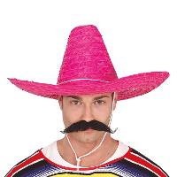 Fiesta Guirca Mexicaanse Sombrero   hoed voor heren   carnaval/verkleed accessoires   roze