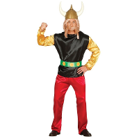 Fiestas Guirca Gallier verkleed kostuum   Asterix   voor volwassenen/heren