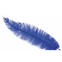 Grote struisvogelveer   blauw   40 cm   Charleston/jaren 20/twenties thema verkleed accessoire