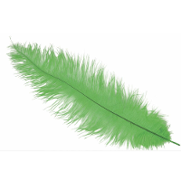 Grote struisvogelveer   groen   40 cm   Charleston/jaren 20/twenties thema verkleed accessoire