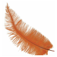 Grote struisvogelveer   oranje   40 cm   Charleston/jaren 20/twenties thema verkleed accessoire