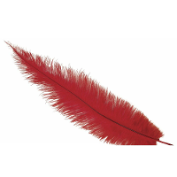 Grote struisvogelveer   rood   40 cm   Charleston/jaren 20/twenties thema verkleed accessoire
