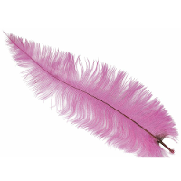 Grote struisvogelveer   roze   40 cm   Charleston/jaren 20/twenties thema verkleed accessoire