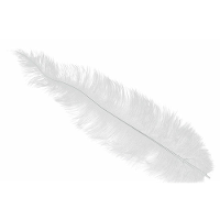 Grote struisvogelveer   wit   40 cm   Charleston/jaren 20/twenties thema verkleed accessoire