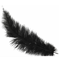 Grote struisvogelveer   zwart   40 cm   Charleston/jaren 20/twenties thema verkleed accessoire