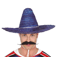 Fiestas Guirca Mexicaanse Sombrero   hoed voor heren   carnaval/verkleed accessoires   blauw