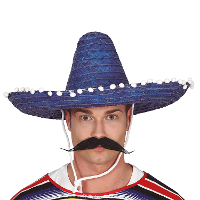 Mexicaanse Sombrero hoed voor heren   carnaval/verkleed accessoires   blauw