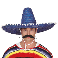 Mexicaanse Sombrero hoed voor heren   carnaval/verkleed accessoires   blauw   met ornamenten