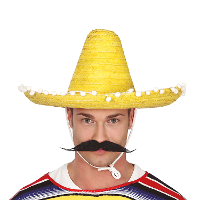 Mexicaanse Sombrero hoed voor heren   carnaval/verkleed accessoires   geel   met ornamenten