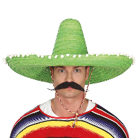 Mexicaanse Sombrero hoed voor heren   carnaval/verkleed accessoires   groen   met ornamenten