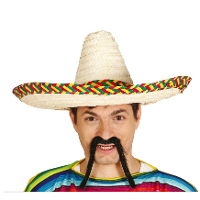 Mexicaanse Sombrero hoed voor heren   carnaval/verkleed accessoires   multi kleuren