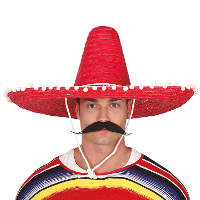Mexicaanse Sombrero hoed voor heren   carnaval/verkleed accessoires   rood   met ornamenten