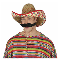 Mexicaanse Sombrero verkleed hoed   voor volwassenen   carnaval/verkleed accessoires   multi kleur