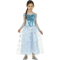 Prinsessen verkleed jurk/kostuum   blauw   voor meisjes   prinses   sneeuwprinses