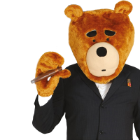Ted verkleedset van pluche