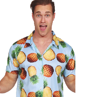 Tropical party Hawaii blouse heren   ananas   blauw   carnaval/themafeest