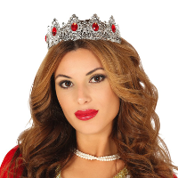 Verkleed diadeem/tiara kroon dames   zilver   kunststof   prinses/koningin   carnaval