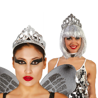 Verkleed haarband/tiara kroontje   zilver   kunststof   prinses/koningin   carnaval/themafeest