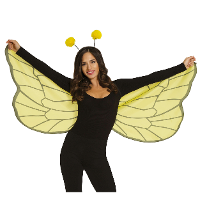 Verkleed set bij/vlinder   vleugels/diadeem   geel   dames/meisjes   Carnavalskleding/accessoires