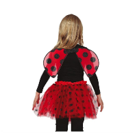 Verkleed set lieveheersbeestje   vleugels en rokje   rood   kinderen   Carnavalskleding