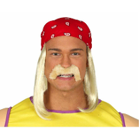 Verkleed set? Pruik/hoofdband/snor Hulk   voor heren   blond   Amerikaanse worstelaar   bekend van t