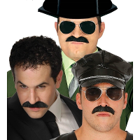 Verkleed snor   zwart   volwassenen   nepsnorren/plaksnorren