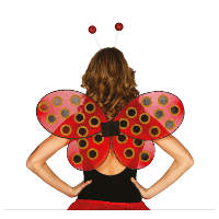 Verkleed vleugels lieveheersbeestje   rood/zwart   voor dames/meisjes   Carnavalskleding/accessoires
