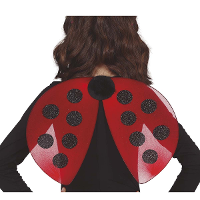 Verkleed vleugels lieveheersbeestje   rood/zwart   voor kinderen   Carnavalskleding/accessoires