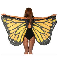 Verkleed vleugels vlinder   geel/zwart   voor dames   Carnavalskleding/accessoires