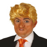 Verkleedpruik Donald Trump   Amerikaanse president   blond   Carnaval/Foute Party
