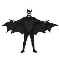 Vleermuis verkleed kostuum voor heren   zwart   Superhelden pak   Halloween verkleedkleding