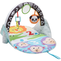 Fisher Price 2 in 1 Activity Gym